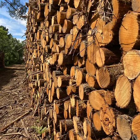 Konukevi Les Eaux Vives 3*