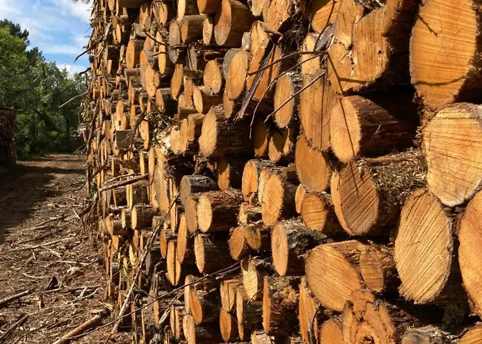 Casa de hóspedes Les Eaux Vives 3*